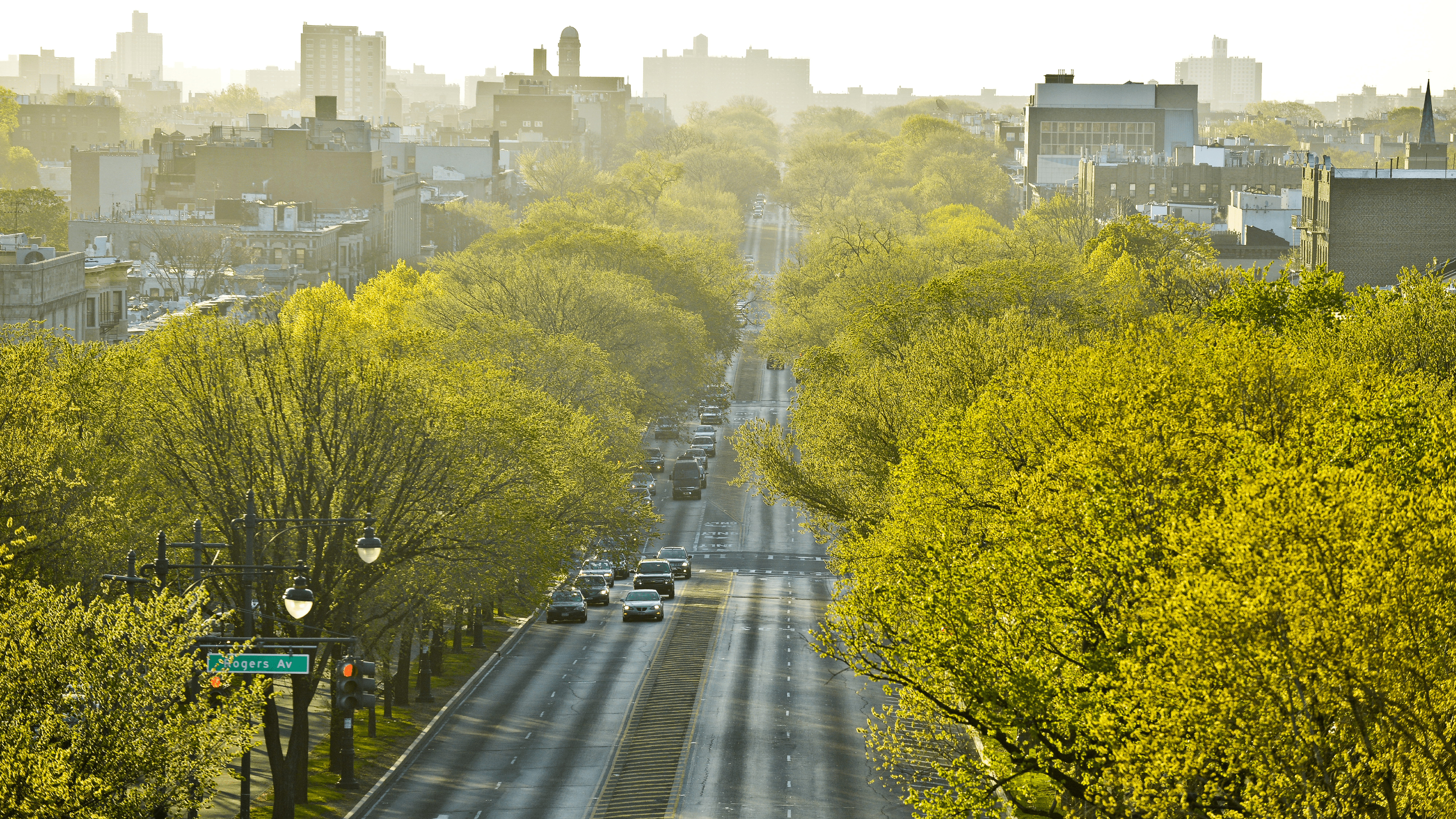 NYC Urban Forest Plan