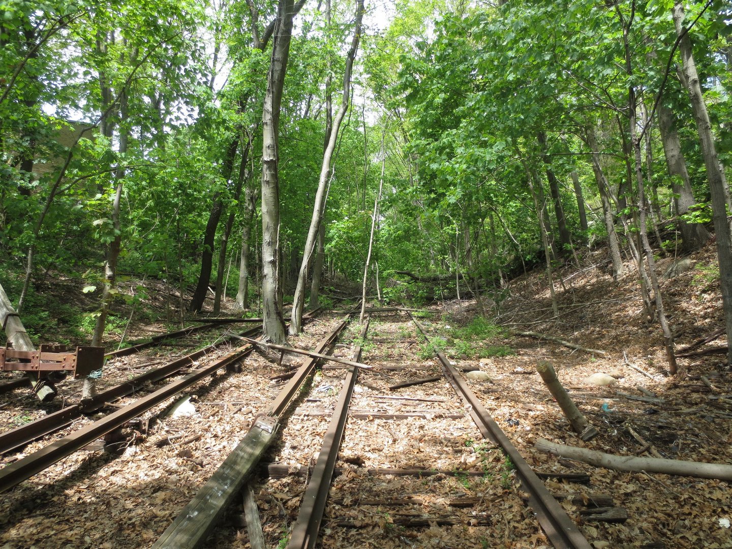 WXY + dland Tapped for Study and Planning of Queensway