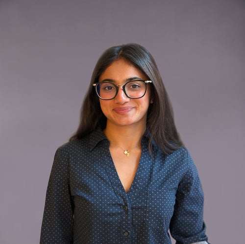 Insha Bandeali
