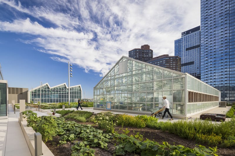 New Rooftop Pavilion and Urban Farm opens at the Javits Center
