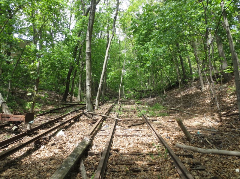 WXY + dland Tapped for Study and Planning of Queensway