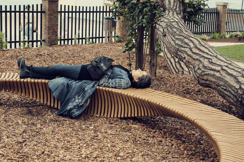 The Palaver Bench 