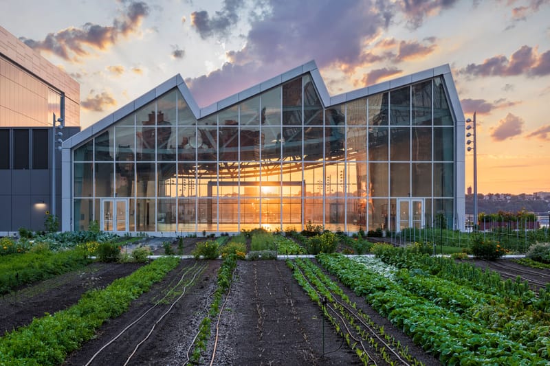 Javits Center Rooftop Pavilion & Farm
