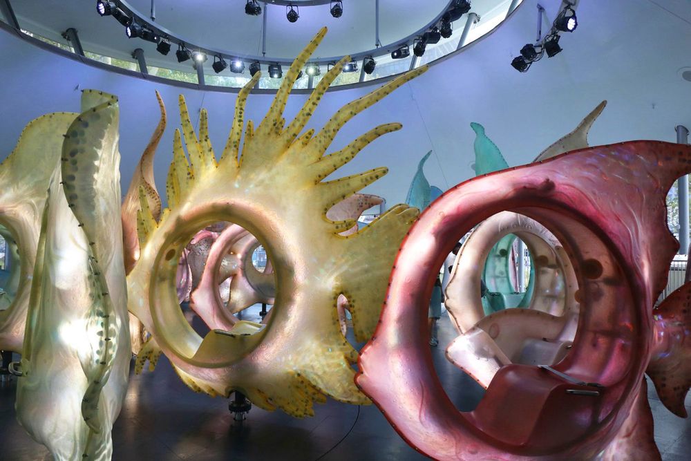 SeaGlass Carousel opens to the public